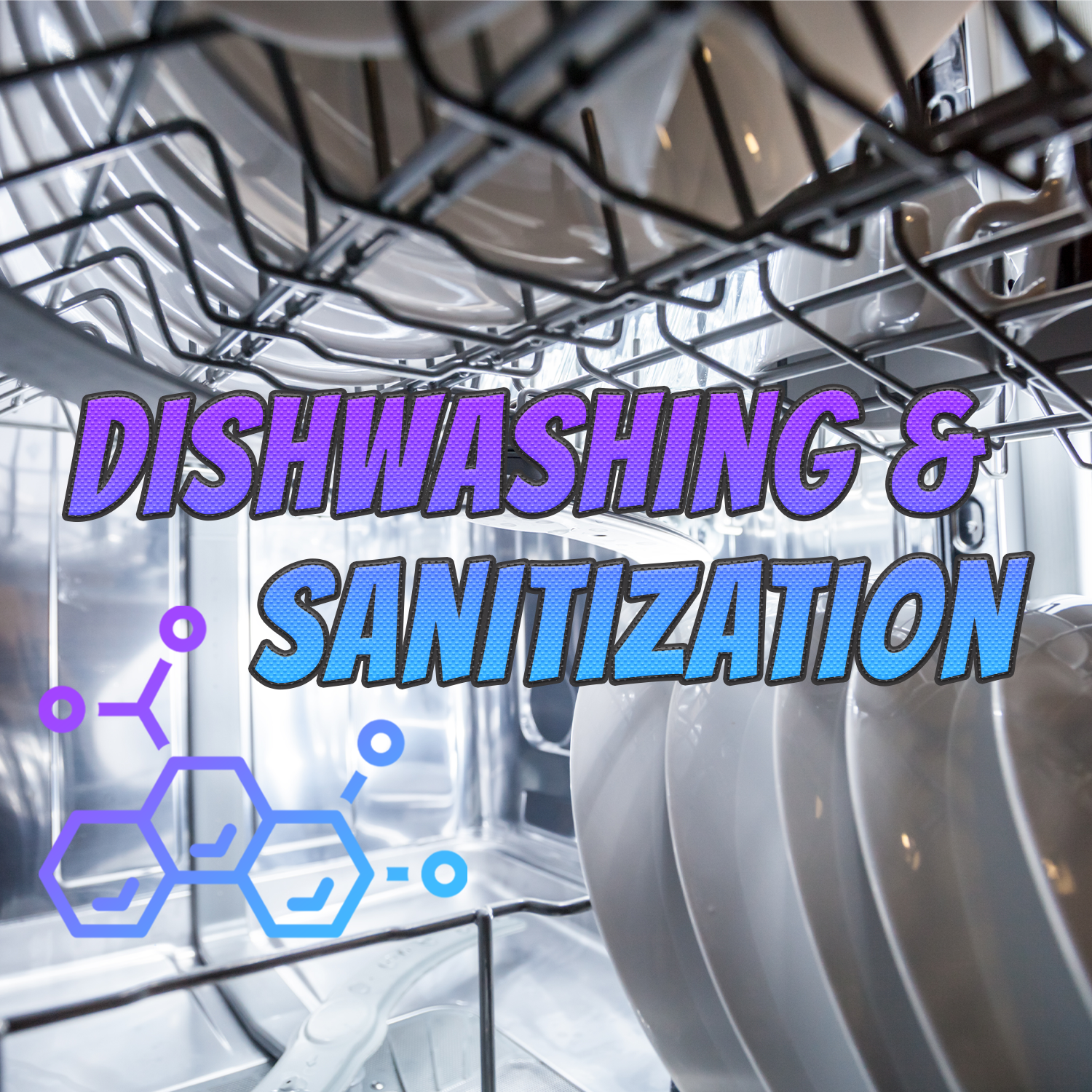 Dishwashing & Sanitization